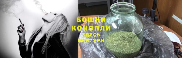 apvp Богородицк