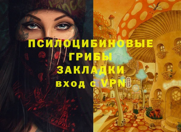 apvp Богородицк