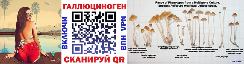 магазин продажи наркотиков  Мончегорск  Псилоцибиновые грибы MAGIC MUSHROOMS 