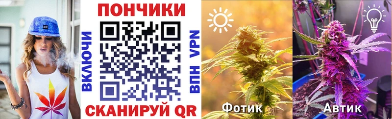 где купить наркоту darknet как зайти Конопля индика Мончегорск